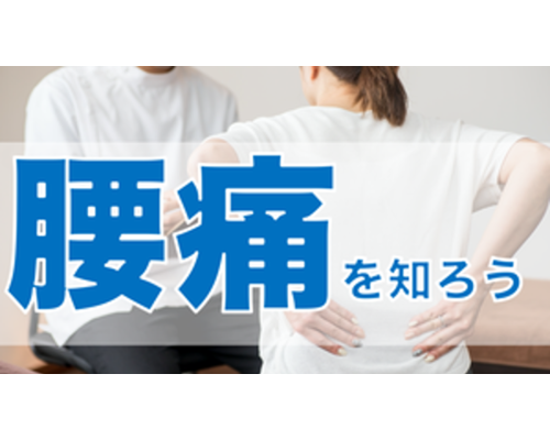 腰痛を知ろう