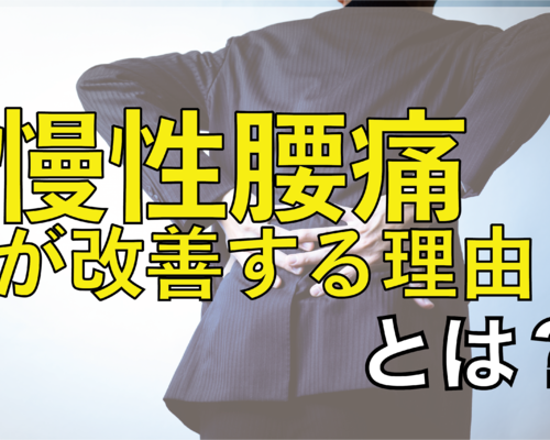 慢性腰痛